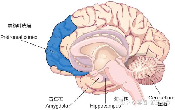 相信很多人都有过这样的体验