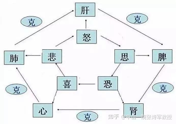 《黄帝内经》指出"喜伤心"怒伤肝"思伤脾"忧伤肺"恐伤肾"