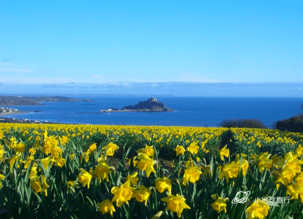 海边的黄水仙盘点英国看黄水仙花海最好的地方英国小众旅行目的地