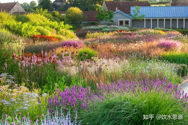 收藏!景观设计中常见花镜植物汇总