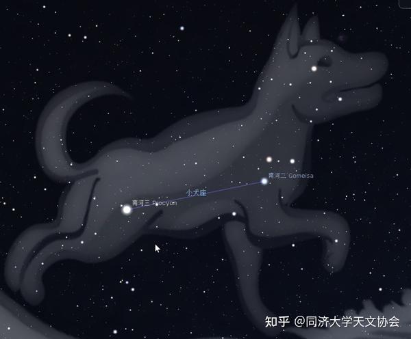 聊到了出手阔绰的宙斯一波就把猎户,大犬,小犬,天兔四个星座带上了