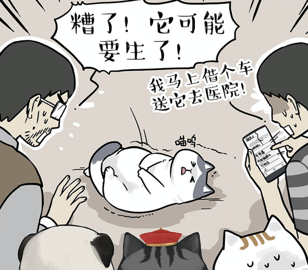 "好喵好车要传播开来" 吾皇万睡携手奔驰发布原创漫画