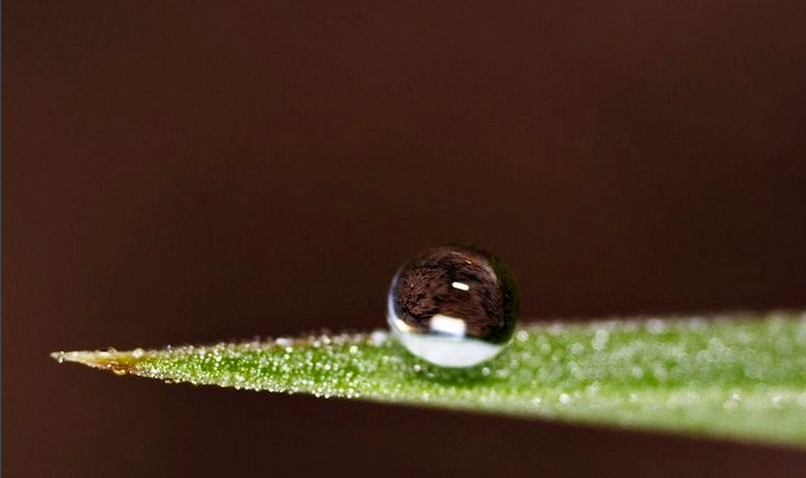 出淤泥而不染超疏水表面superhydrophobicsurface