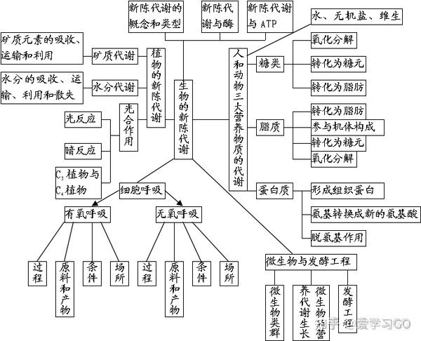 生命的物质基础,结构基础,细胞工程  声明 本文素材来源谮网络.