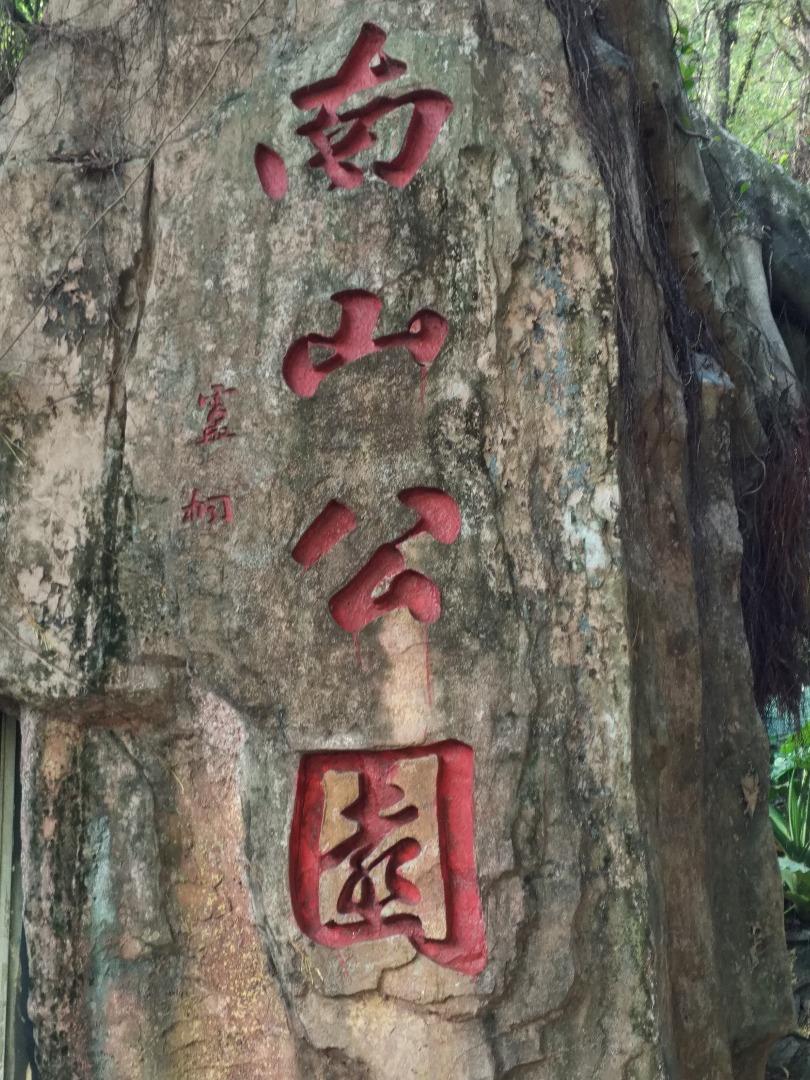 深圳生活之爬南山