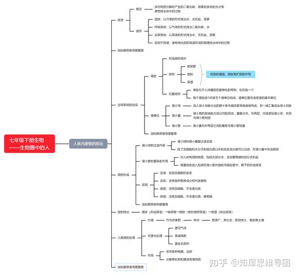 七年级下册生物思维导图初一生物知识点脑图整理知犀思维导图