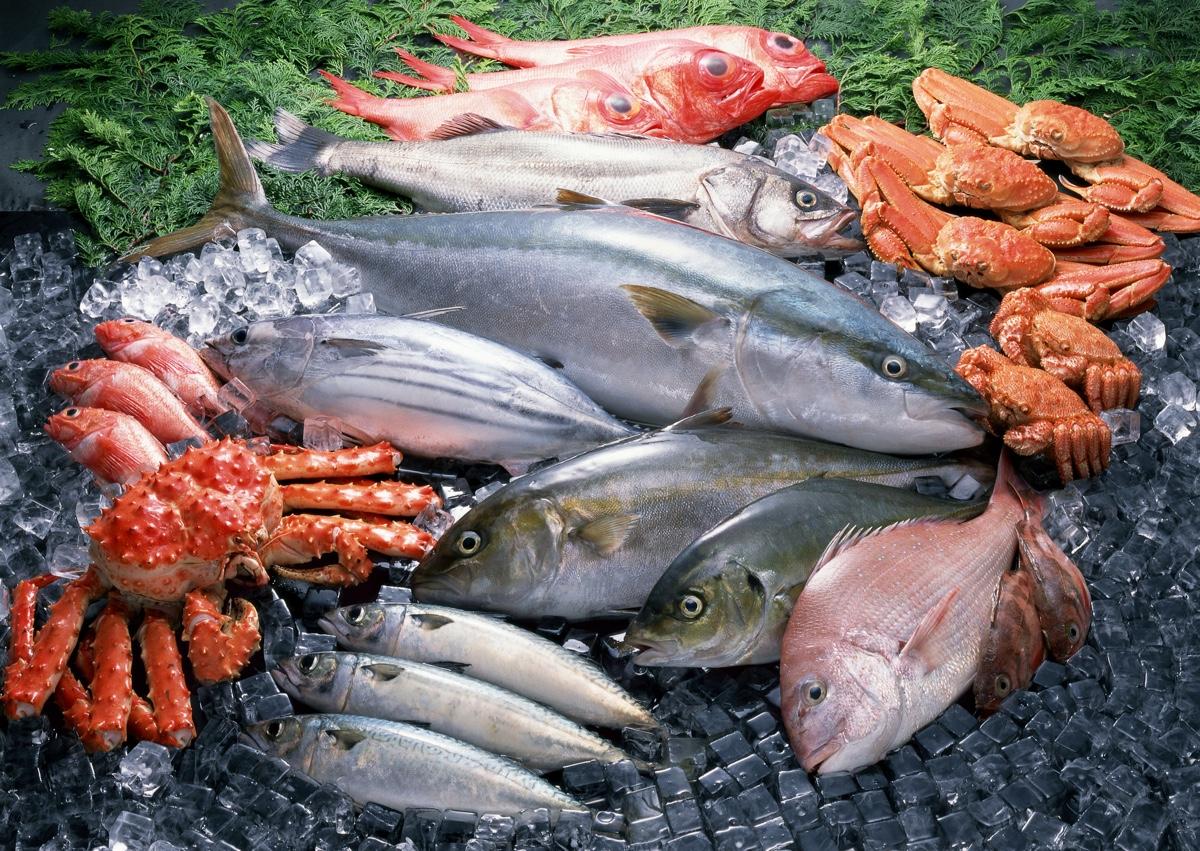 在海边长大的人吃的海鲜都有哪些?
