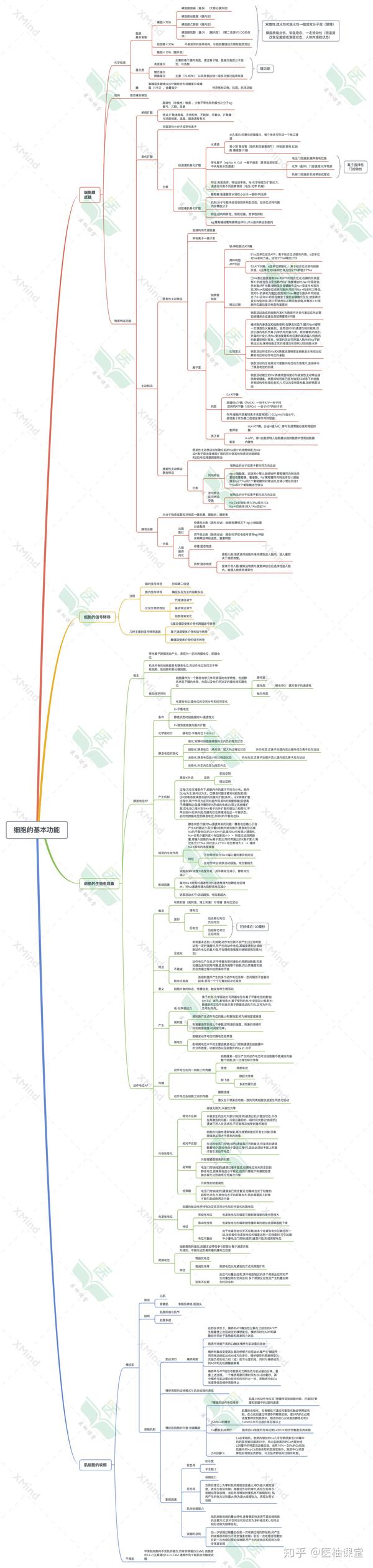 生理学 思维导图-细胞的基本功能