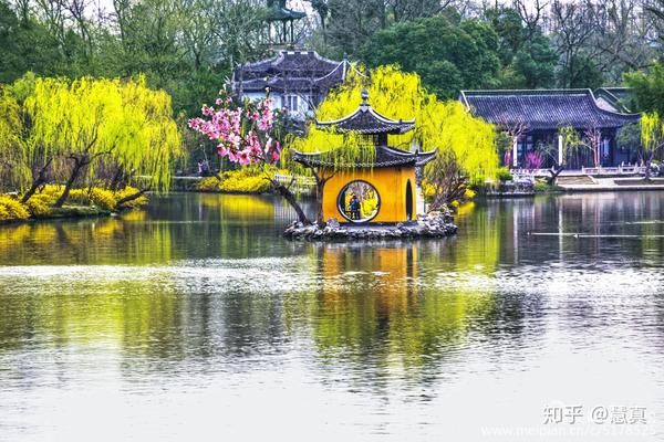 西湖美景六月天.文/慧真