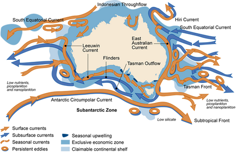 沿着西澳大利亚,教科书上讲那边是西澳大利亚寒流,但是实际上该海域