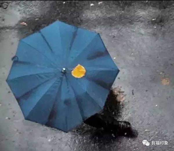 03,用垂直的方法拍摄一个雨中雨伞.