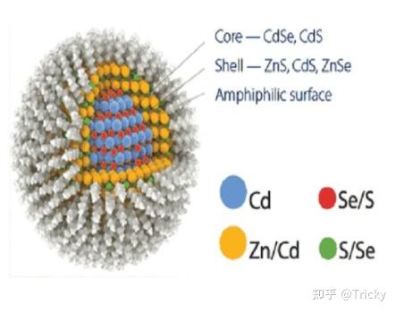 油 水溶性CdS ZnS量子点 知乎