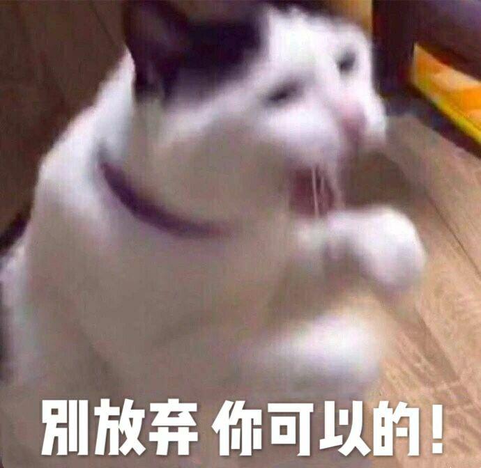 有天气经久不衰的表情和动图分享一热搞笑图片热度太的图片