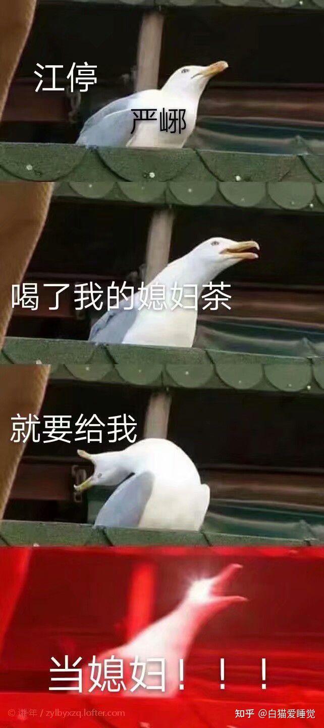 原耽圈的那些事