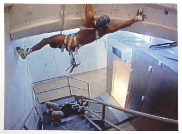 blind perineum (1991)