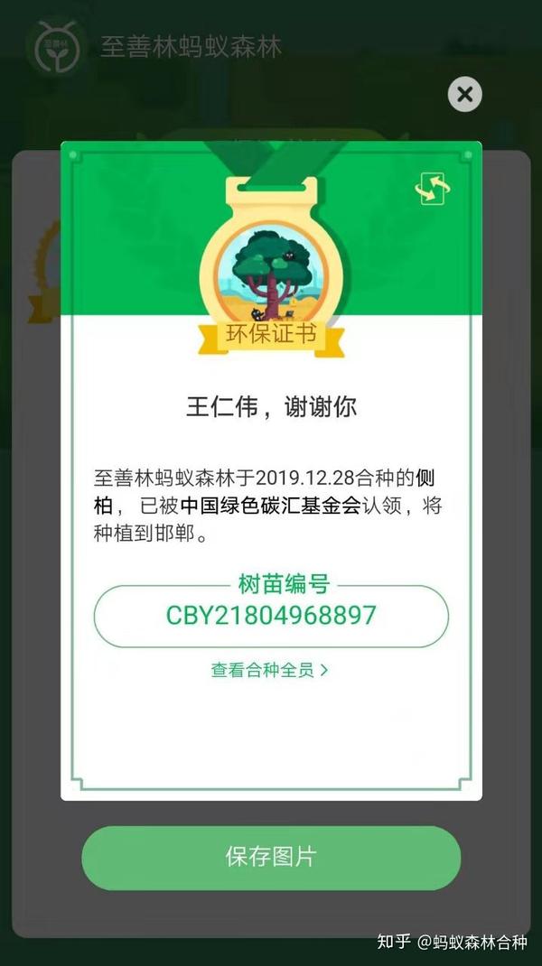 蚂蚁森林合种钉钉群100克就可以种大树!