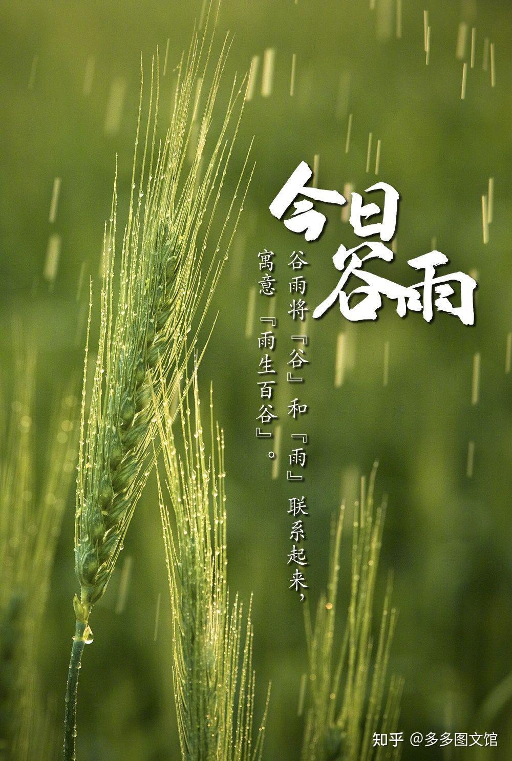 【今日谷雨】
