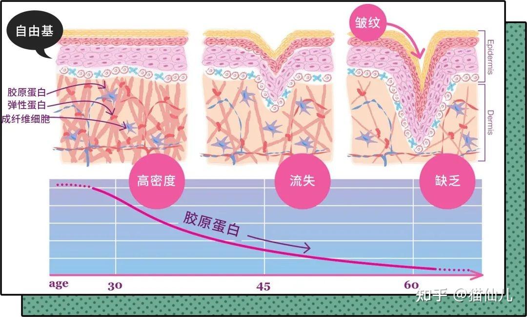 一个月就能安全有效地逆天换皮是怎么做到的