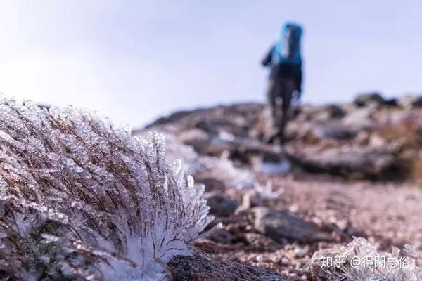 理工男来干保险,是走投无路,还是身怀绝技