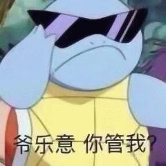 杰尼龟表情包73张