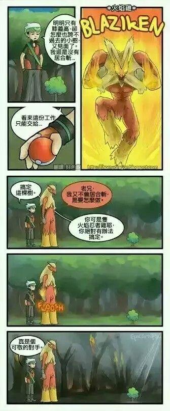 精灵宝可梦(神奇宝贝)有哪些著名的梗?