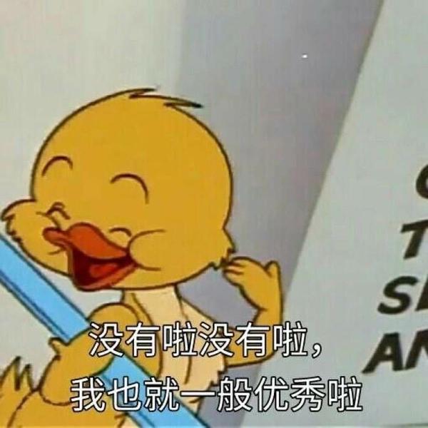 也就一般般优秀啦