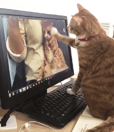 显示器! 所以,我也不让你加班!