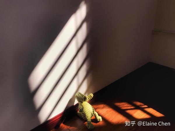 孤独又自闭的小绿