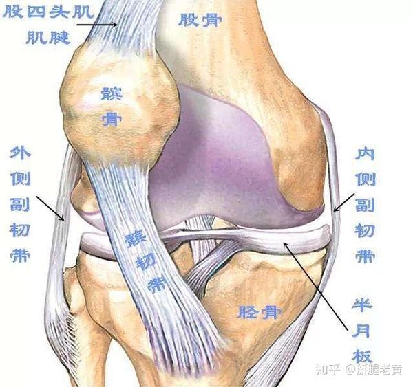 这三个症状出现要警惕髌骨软化医生教你5招正确应对