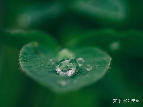 冥想是心灵的沐浴大脑的休整