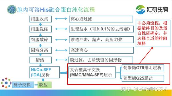 his标签蛋白纯化全攻略