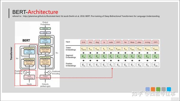 从结构上看,bert模型与transformer的区别在于其包含12个(base款)或