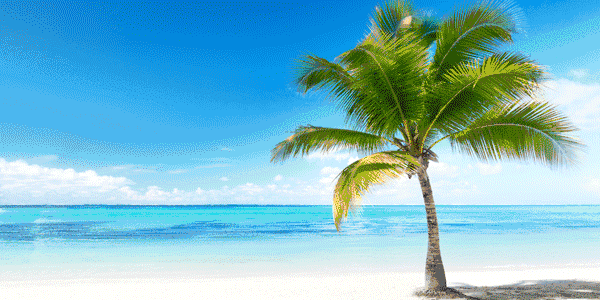 600_300gif 动态图 动图