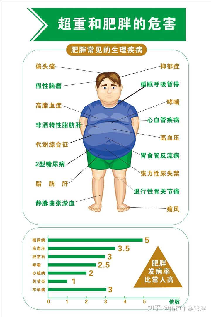 世界防治肥胖日控制体重要先行