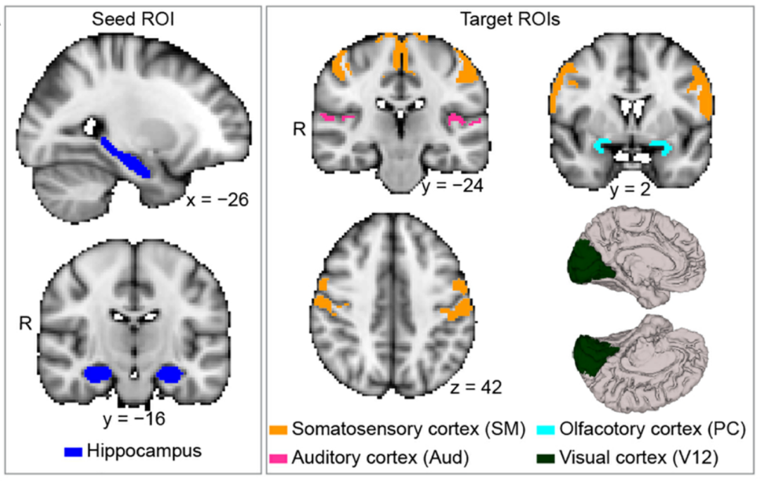  Understanding the Role of PET Scan in Brain Tumor Diagnosis and Treatment