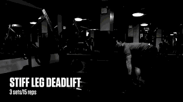 356_200gif 动态图 动图