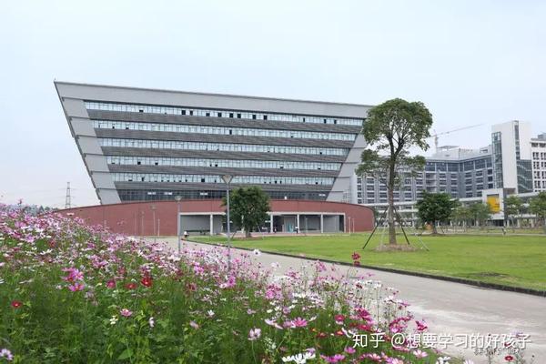 2020年广东财经大学专插本招生解读