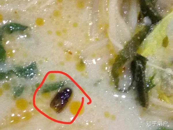 酱是否苍蝇产过卵 亲舅舅,很有正义感,非常棒的一个人 开驴肉火烧店的