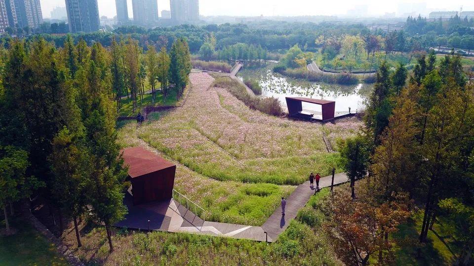 土人设计项目信息宁波市东部新城生态走廊(三期)图片巴勒斯坦的景观