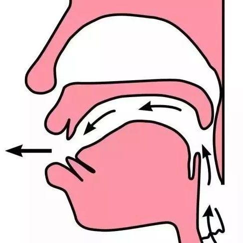 小学汉语拼音前鼻音和后鼻音的发音技巧,值得收藏!