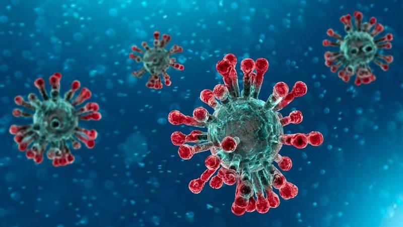 新型冠状病毒sars-cov-2(2019-ncov)与hiv有关?