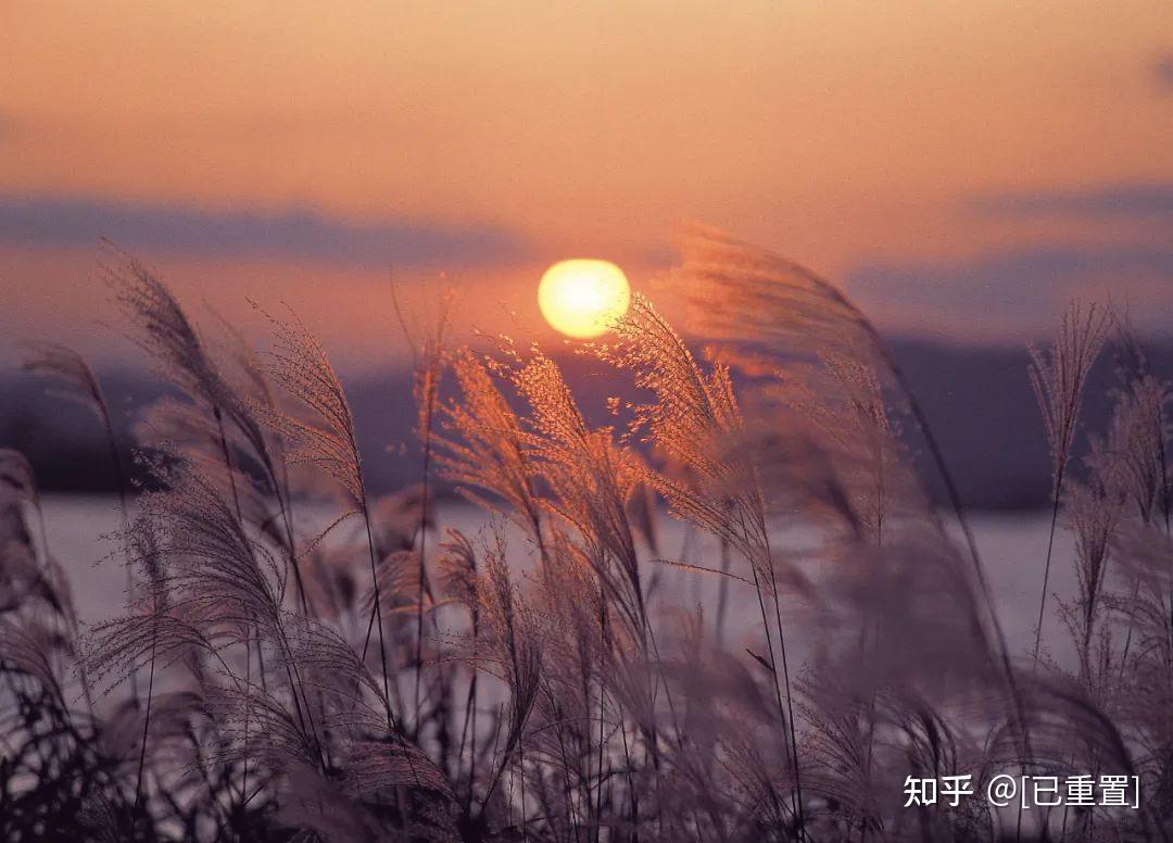 白露秋风起相思浓