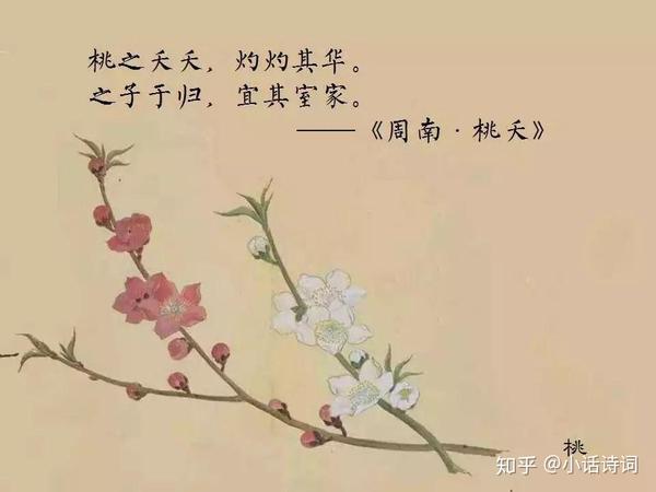 《诗经·周南》中的第六篇《桃夭》,是一首祝贺女子出嫁,祝新娘子"宜