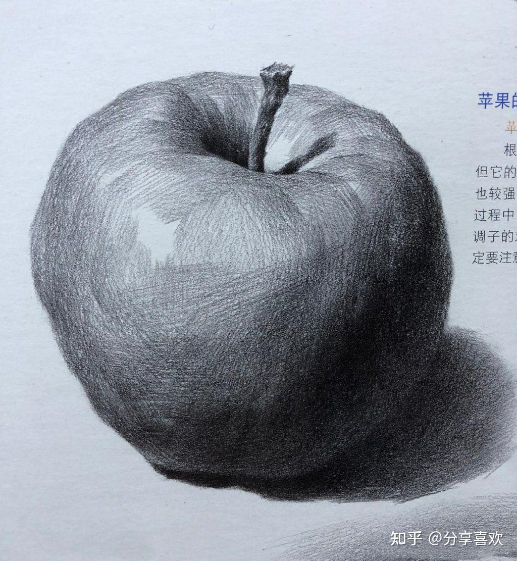 苹果解剖图 - 知乎