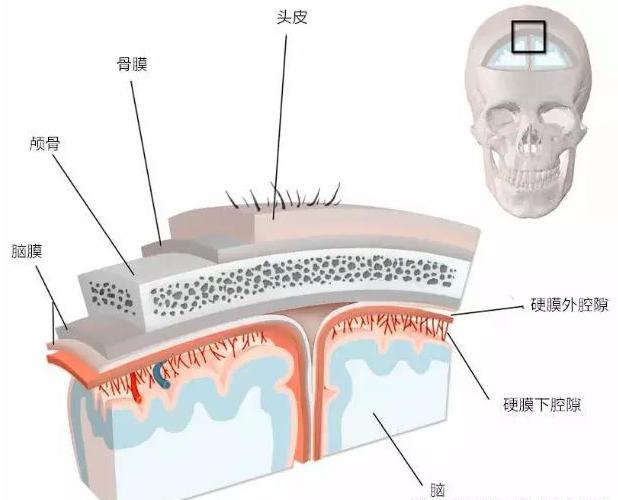 关于头皮,多的是你不知道的事