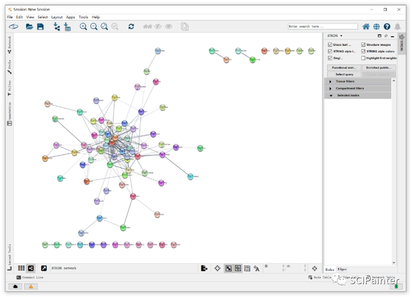 Cytoscape