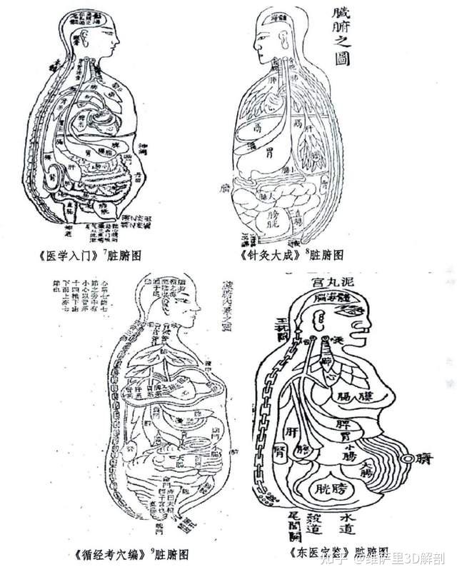 《存真图》北宋时期官方组织了两次人体解剖,为后世留下了《欧希