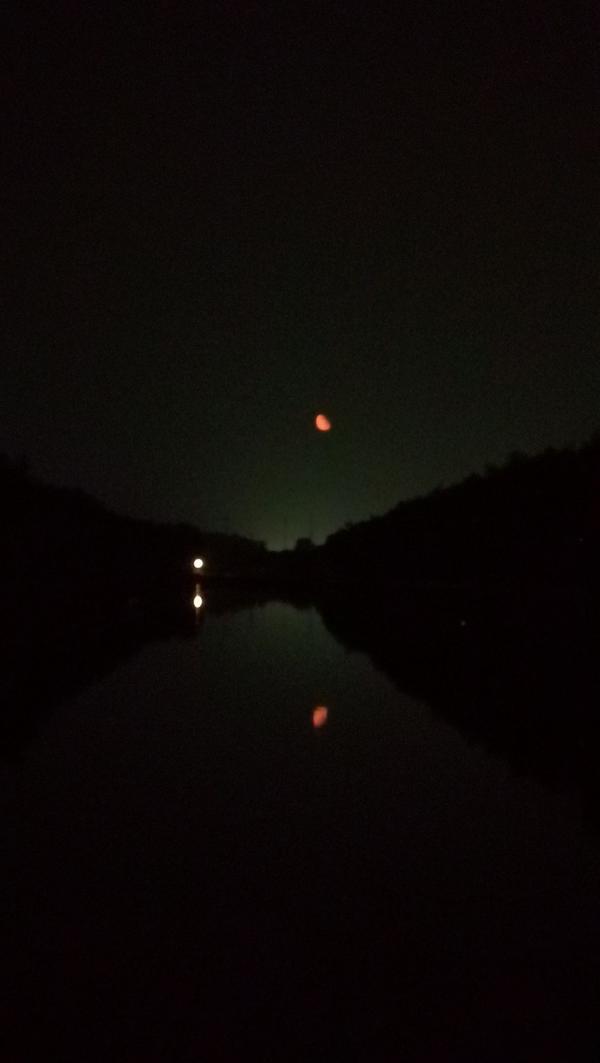 你有多长时间没有静静地欣赏夜空下的人影树影了?