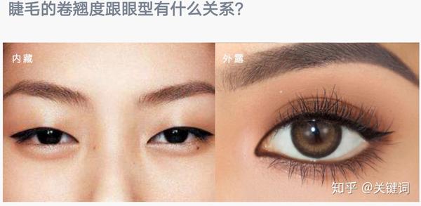 所谓的扇形是什么样的呢,重点来了,内眼角向前,中间向上,外眼角向后