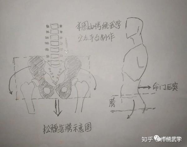 解密含胸拔背,松腰落胯